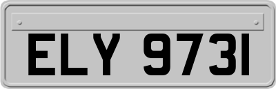 ELY9731