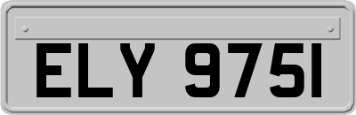 ELY9751