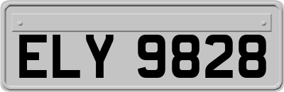 ELY9828