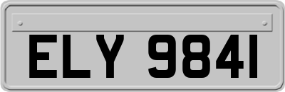 ELY9841