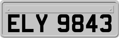 ELY9843