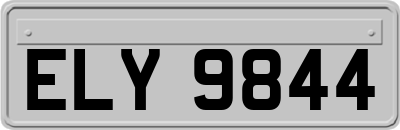 ELY9844
