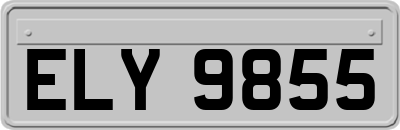 ELY9855