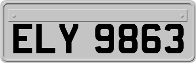 ELY9863