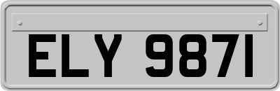 ELY9871