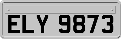 ELY9873