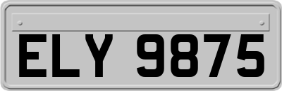 ELY9875