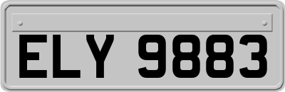 ELY9883