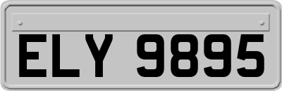 ELY9895