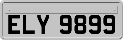 ELY9899