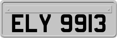 ELY9913