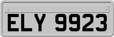 ELY9923