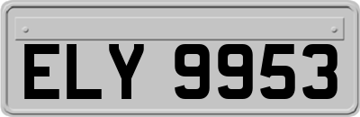 ELY9953