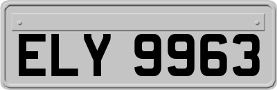 ELY9963