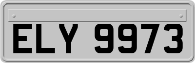 ELY9973