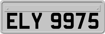 ELY9975