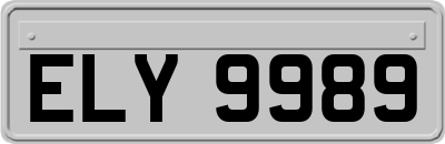 ELY9989