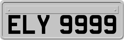 ELY9999