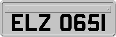ELZ0651