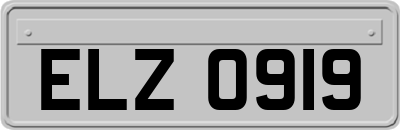 ELZ0919