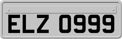 ELZ0999