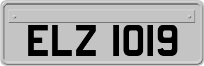 ELZ1019