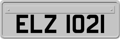 ELZ1021
