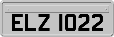 ELZ1022