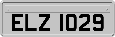 ELZ1029