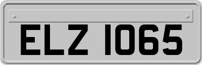 ELZ1065