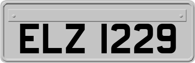 ELZ1229