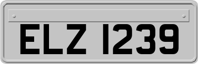 ELZ1239