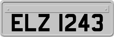 ELZ1243