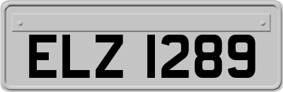 ELZ1289