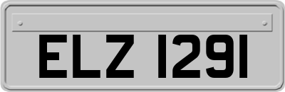 ELZ1291