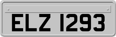 ELZ1293