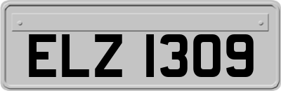 ELZ1309