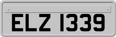 ELZ1339