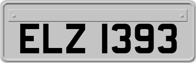ELZ1393