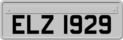 ELZ1929