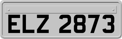 ELZ2873