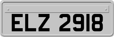 ELZ2918