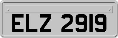 ELZ2919