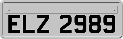 ELZ2989