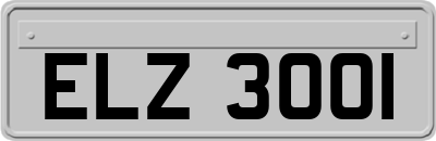 ELZ3001