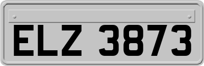 ELZ3873