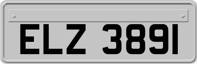 ELZ3891