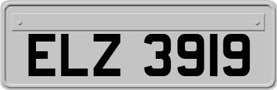ELZ3919