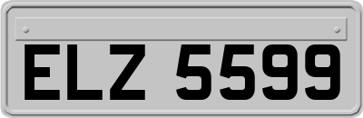 ELZ5599