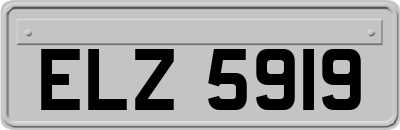 ELZ5919